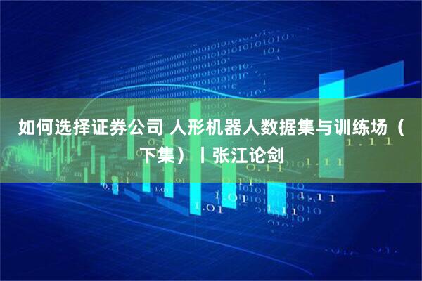 如何选择证券公司 人形机器人数据集与训练场（下集）丨张江论剑