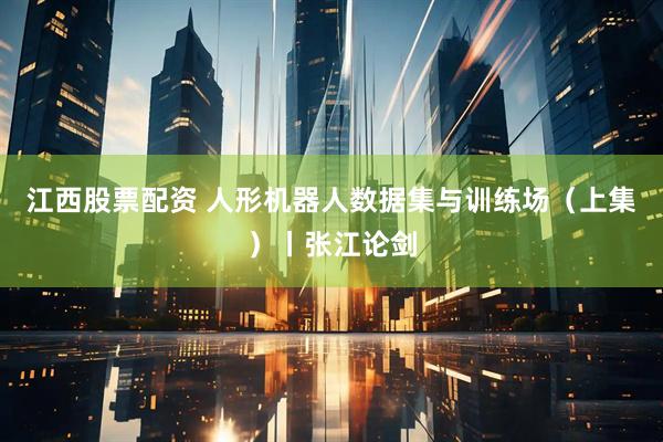 江西股票配资 人形机器人数据集与训练场（上集）丨张江论剑