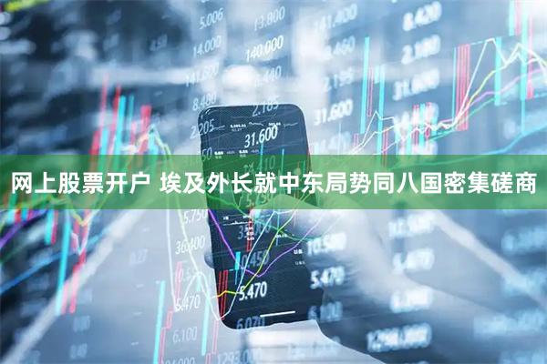 网上股票开户 埃及外长就中东局势同八国密集磋商