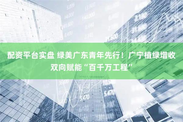 配资平台实盘 绿美广东青年先行！广宁植绿增收双向赋能“百千万工程”