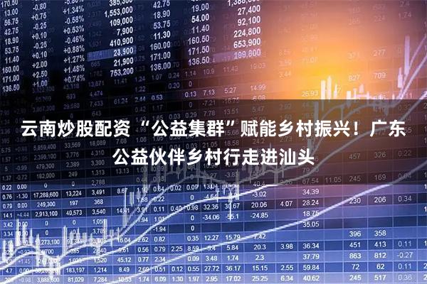 云南炒股配资 “公益集群”赋能乡村振兴！广东公益伙伴乡村行走进汕头